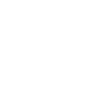 Compass icon