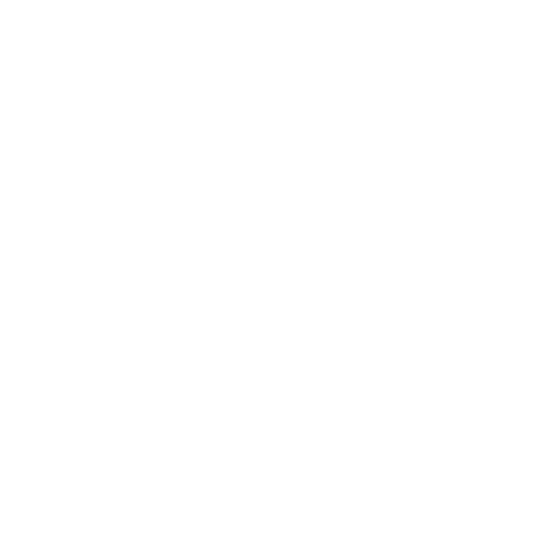 Money icon